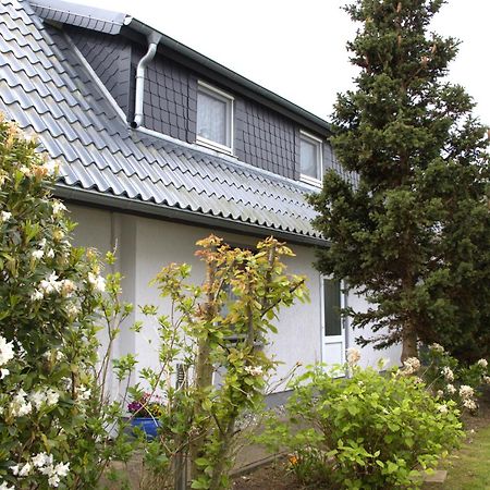 Seestern Zingst Exteriör bild