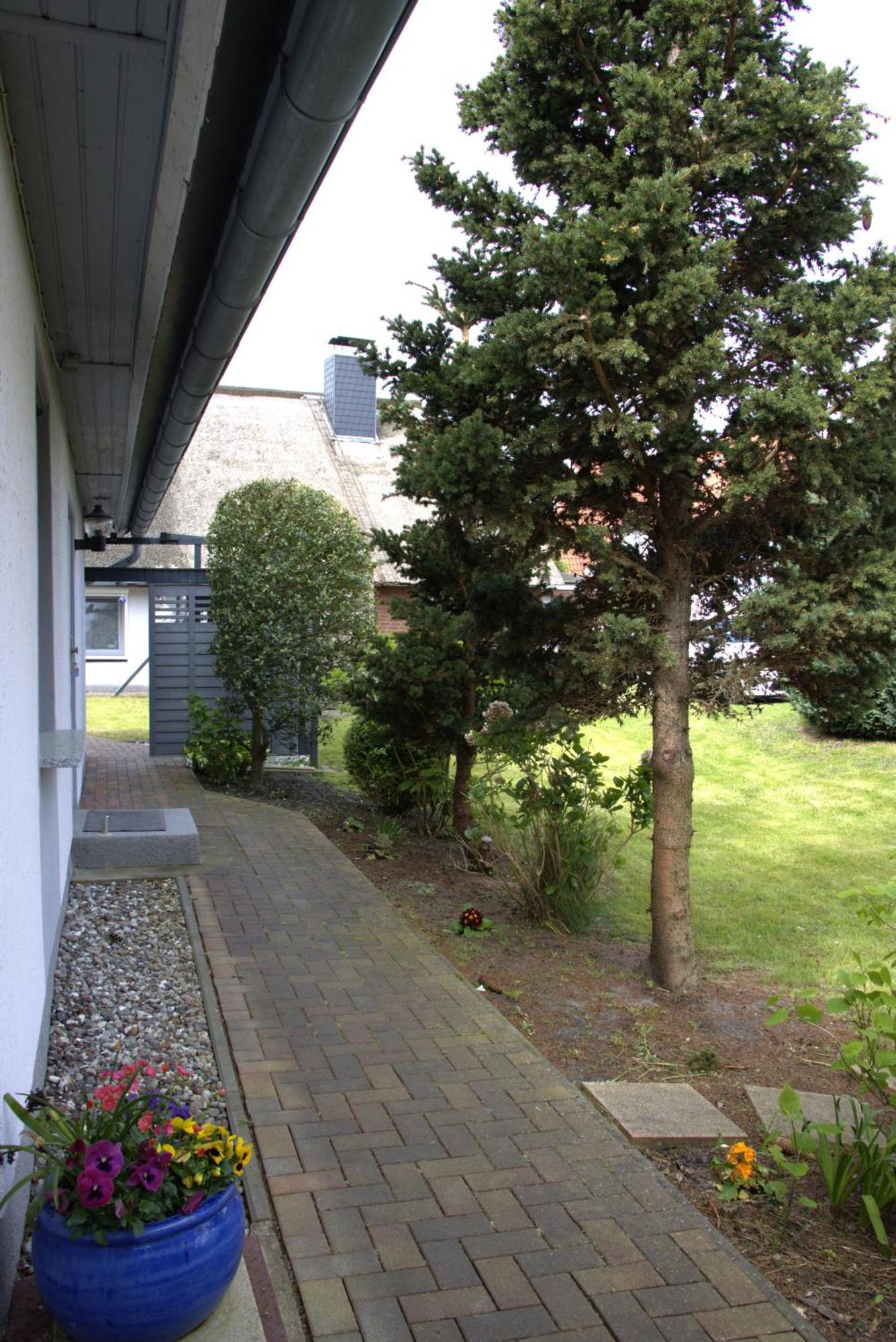 Seestern Zingst Exteriör bild